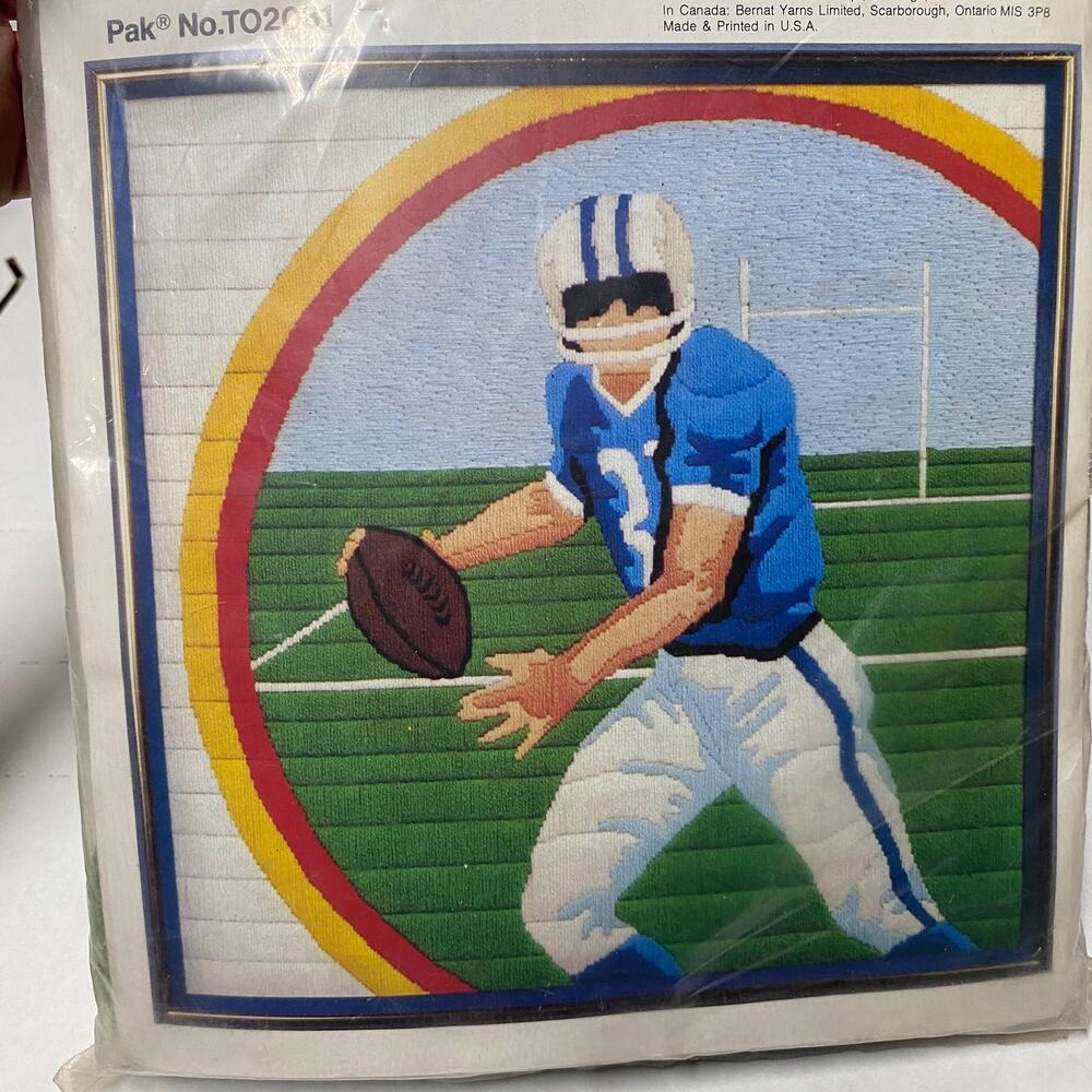 Vintage Bernat 1980 Touchdown TO2031 Crewl Embroidery Quickstitch Mesh Kit